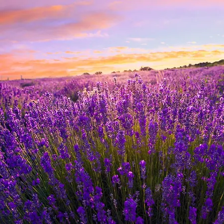 Apartment In - Balaton 53708 Siófok