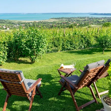 In - Balaton 53708 Siófok