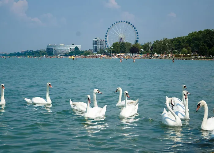 Apartment In - Balaton 53708 *