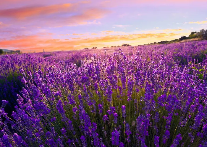 Apartment In - Balaton 53708 Siófok